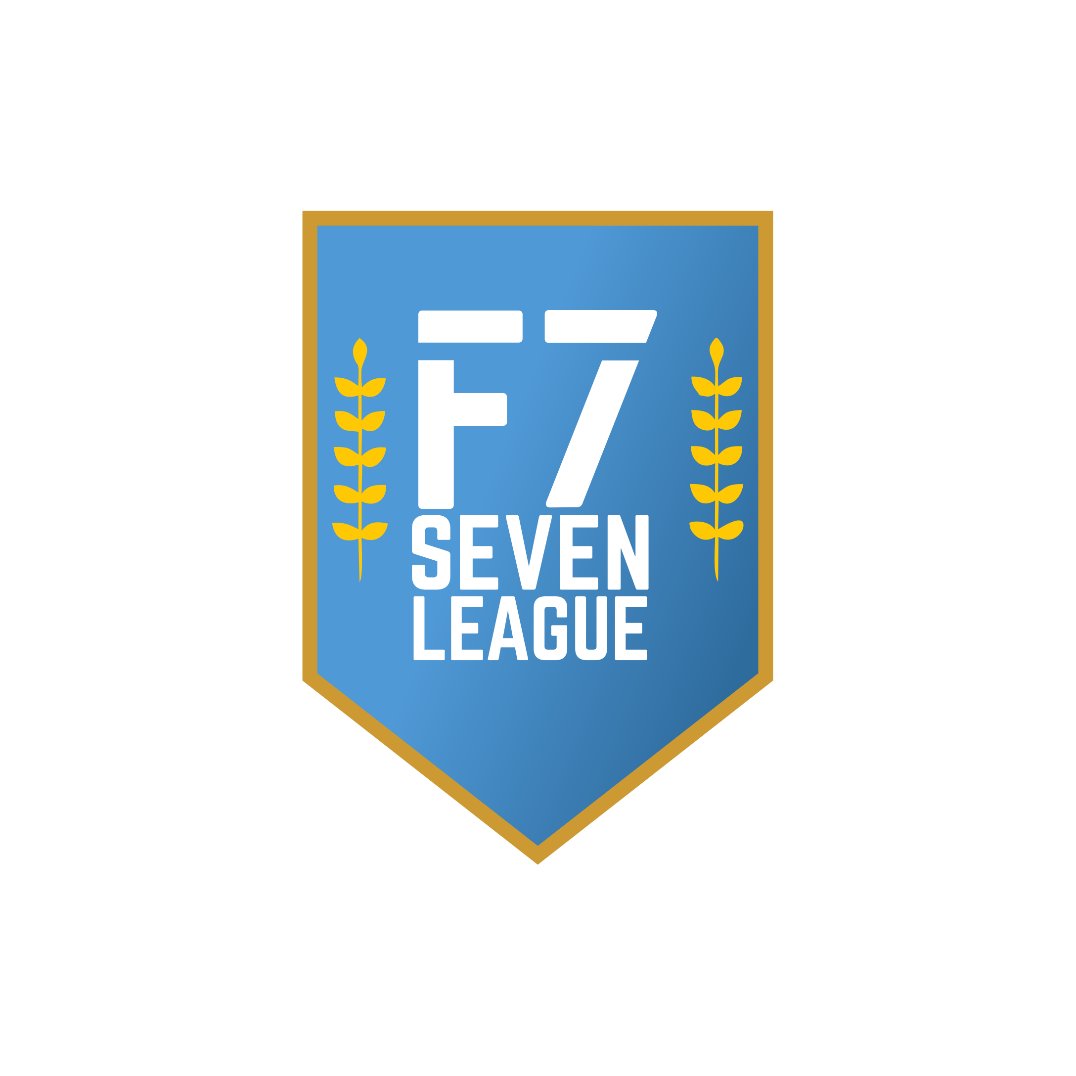 Copa Nacional Seven